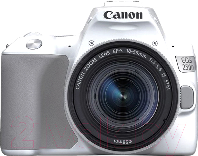 Зеркальный фотоаппарат Canon EOS 250D Kit EF-S 18-55mm IS STM / 3458C001