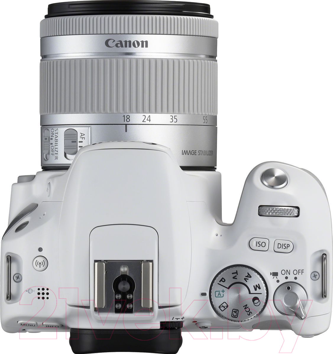 Зеркальный фотоаппарат Canon EOS 250D Kit EF-S 18-55mm IS STM / 3458C001