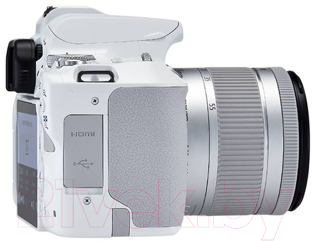 Зеркальный фотоаппарат Canon EOS 250D Kit EF-S 18-55mm IS STM / 3458C001