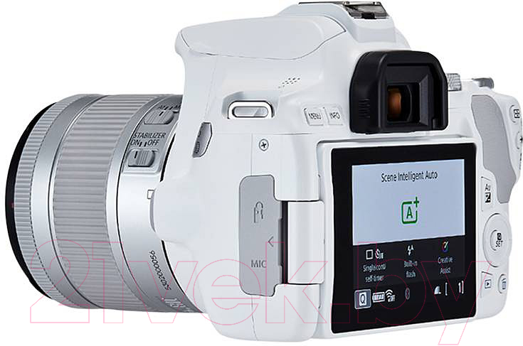 Зеркальный фотоаппарат Canon EOS 250D Kit EF-S 18-55mm IS STM / 3458C001