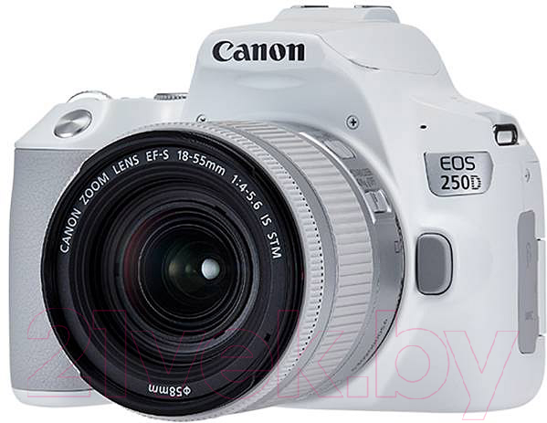 Зеркальный фотоаппарат Canon EOS 250D Kit EF-S 18-55mm IS STM / 3458C001