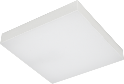 

Потолочный светильник, 11168