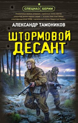 

Художественная книга, Штормовой десант