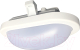 Миниатюра изображения товара Светильник ЖКХ JAZZway 5009264