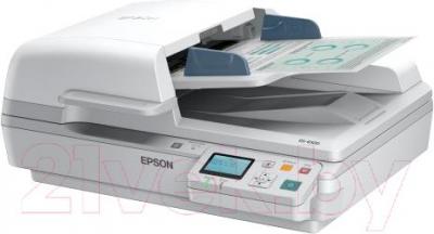 Планшетный сканер Epson DS-7500N - общий вид