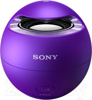 Портативная колонка Sony SRS-X1V - общий вид