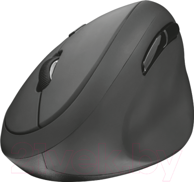 

Мышь Trust, Orbo Wireless Ergonomic / 23002