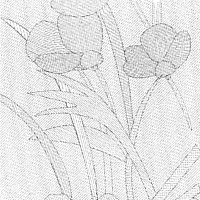 

Пленка самоклеящаяся Color Dekor, Витражная 6016