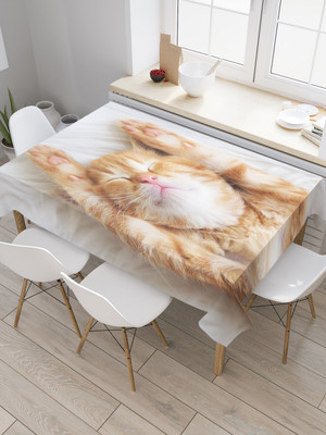 

Скатерть, Сонный котенок / tc_38600