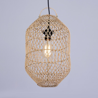 

Потолочный светильник, Эрвин 10090657