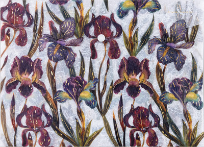 Папка-конверт Bruno Visconti Flora. Ирисы / 14-036/18