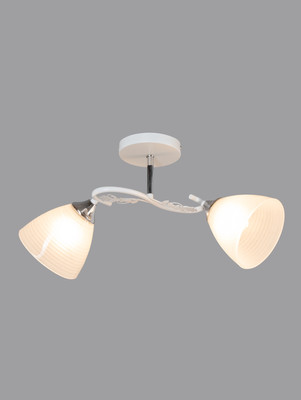 

Потолочный светильник, XA1601/2 2x60 Вт E27 / 10987898