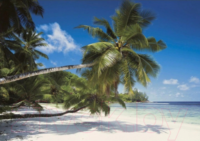 Фотообои листовые Komar Coconut Bay 8-310 (368x254)