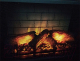 Миниатюра изображения товара Электрокамин Royal Flame Vision 23 EF LED 3D FX