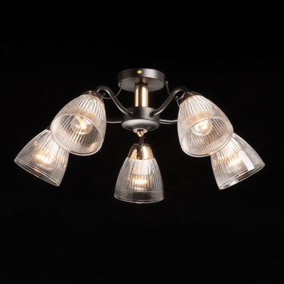 

Люстра, Альфа 324019505