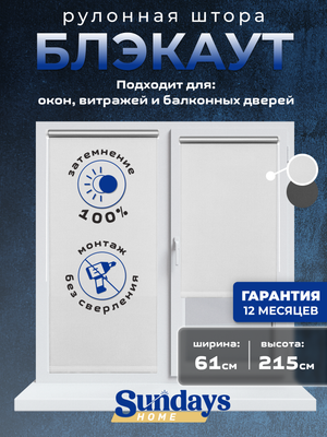 

Рулонная штора, LM 167-01 61х215