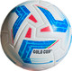 Футбольный мяч Gold Cup SV5 (белый/синий/красный) -