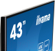 Миниатюра изображения товара Информационная панель Iiyama ProLite LE4340UHS-B1