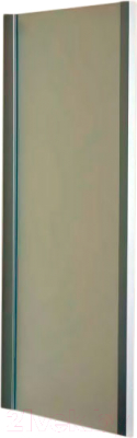 Душевая стенка Roltechnik Exclusive Line S ECDB/80 (матовое серебро/матовое стекло)