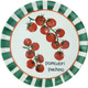 Блюдо Andrea Fontebasso Cinzia Pomodori Pachino / CI022419103 -