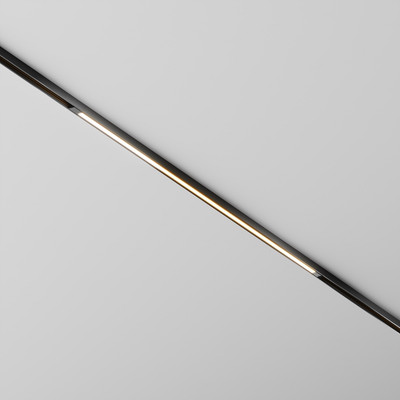 Трековый светильник Maytoni Basis Exility X TR240-2-18W3K-B