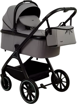 

Детская универсальная коляска, Basic Terra 2 в 1 / RA163