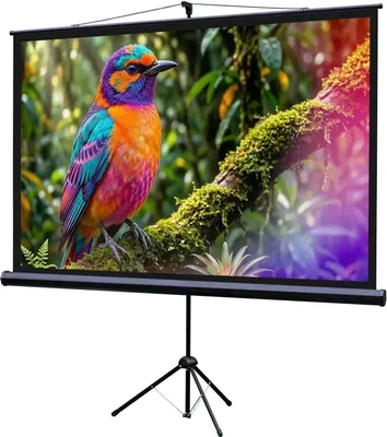 Проекционный экран Lumien Eco Picture 130х227см / LEV-100115
