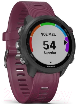 Умные часы Garmin Forerunner 245 / 010-02120-11 (черный/бордовый)