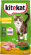 Сухой корм для кошек Kitekat Аппетитная курочка (800г) -