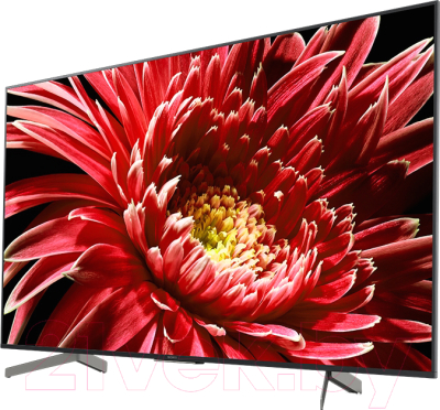 Телевизор Sony KD-55XG8596BR