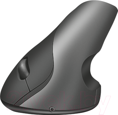 

Мышь Trust, Varo Wireless Ergonomic Mouse / 22126