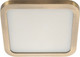 Точечный светильник AM Group AM293 9W AB 4000K S - 
