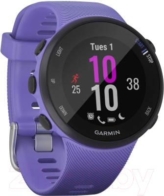 

Умные часы Garmin, Forerunner 45s / 010-02156-11