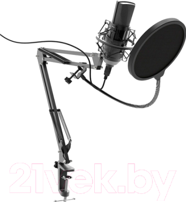Микрофон Ritmix RDM-180 (черный)