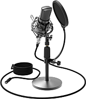 

Микрофон Ritmix, RDM-175