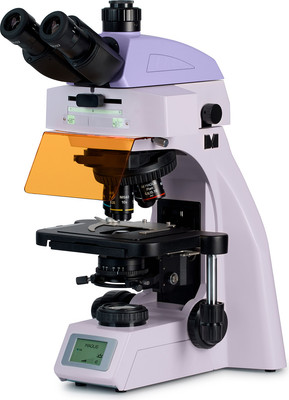 Микроскоп цифровой Magus Lum D450L / 83296