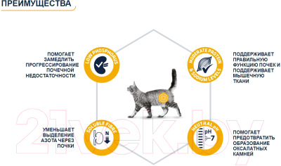 Сухой корм для кошек Advance VetDiet Renal Canine Formula (1.5кг)