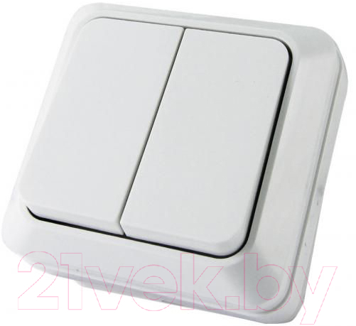 Выключатель TDM Ладога SQ1801-0003 (белый)