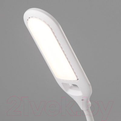 Настольная лампа Евросвет Soft 80503/1 (белый)