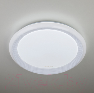 Потолочный светильник Elektrostandard 40013/1 LED (белый)