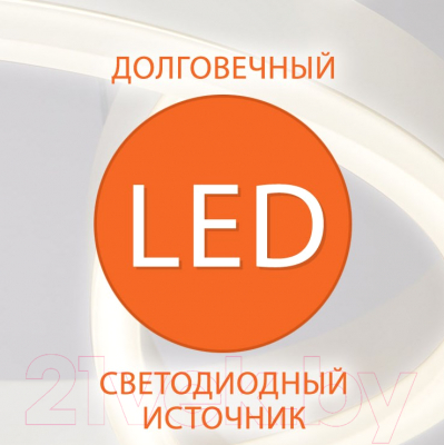 Настольная лампа Elektrostandard 80504/1 (белый)