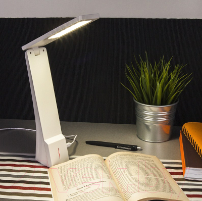 Настольная лампа Elektrostandard Desk TL90450 (белый/серебристый)