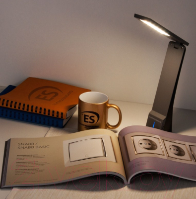 Настольная лампа Elektrostandard Desk TL90450 (черный/серый)
