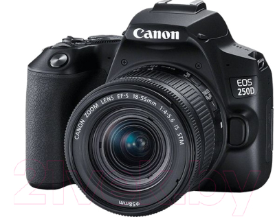 Зеркальный фотоаппарат Canon EOS 250D Kit EF-S 18-55mm III + сумка SB130 и SD-карта 16GB (черный)