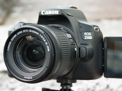 Зеркальный фотоаппарат Canon EOS 250D Kit EF-S 18-55mm III + сумка SB130 и SD-карта 16GB (черный)