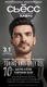 Гель-краска для волос Сьёсс Men Toning Anti-Grey Gel тон 3.1 - 