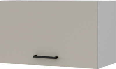 Шкаф под вытяжку Anrex Alesia 1DG/60 F1