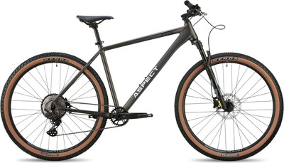 Велосипед Aspect Big Boy 29 2026 (XXL 24, серый) - 
