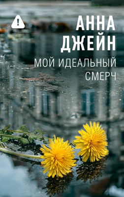 Художественная книга АСТ Мой идеальный смерч