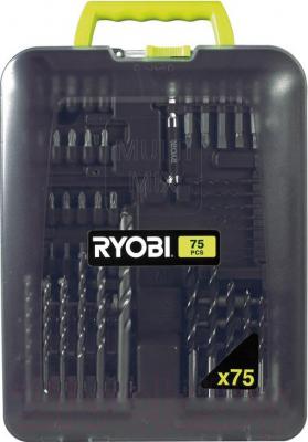 Набор оснастки Ryobi RAK75MIX (5132002551) - общий вид